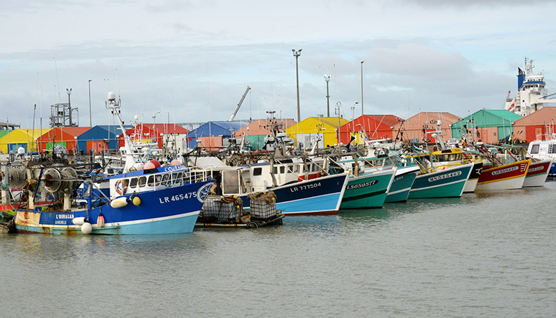 bateaux de pêche - coquille saint-jacques - Bassin des Coureauleurs